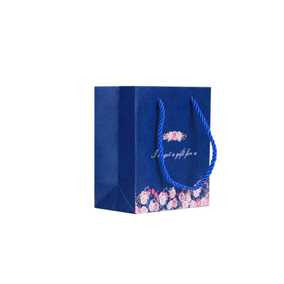 Pantone Printing Coloured Paper Gift Bags With Ribbon Handles