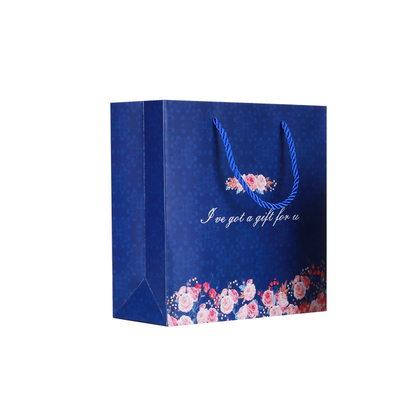 Pantone Printing Coloured Paper Gift Bags With Ribbon Handles