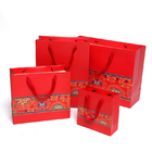Laminated Coated Paper Gift Bags With Handles OEM ODM Supported